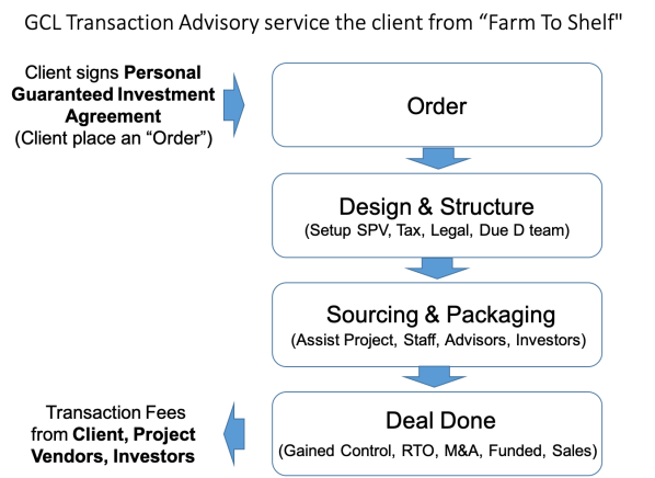 globalcapital-transaction-advisory-process-flow